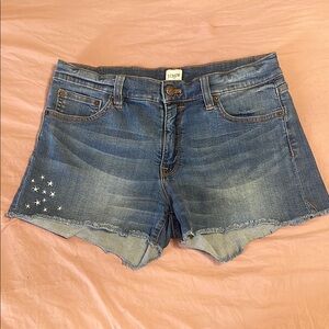 J. Crew Women's Blue Denim Shorts